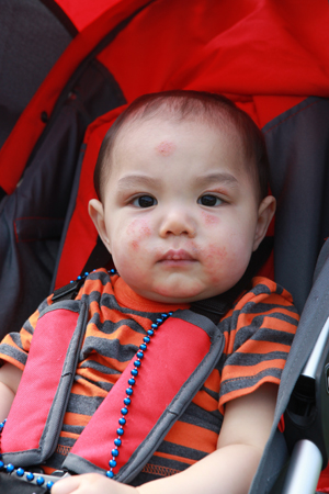 Toddler in stroller