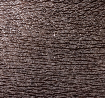 Close up image of skin
