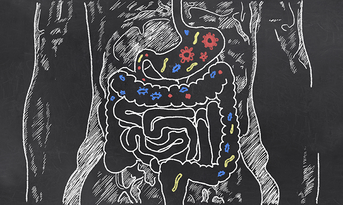 Leaky Gut and Atopic Dermatitis: Does the Concept Hold Water or Is It Full of Holes?