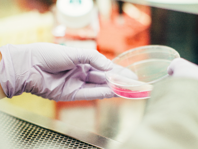 Q & A: Introducing Biologics with Dr. Paul Yamauchi